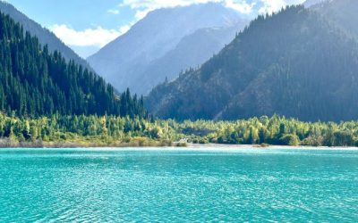 What Psychodynamic Therapy Actually is?